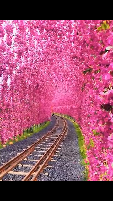 The beauty of nature with some part