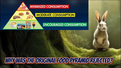 Junk food is healthy according American sciences discovery.