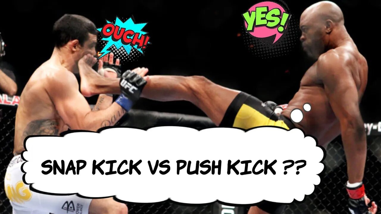 Snap Kick vs Push Kick ?? #pushkick #snapkick #teep