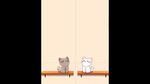 meow #meow