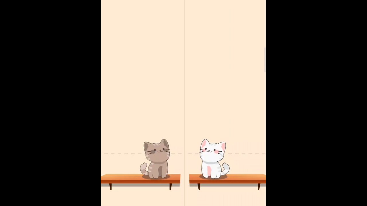 meow #meow