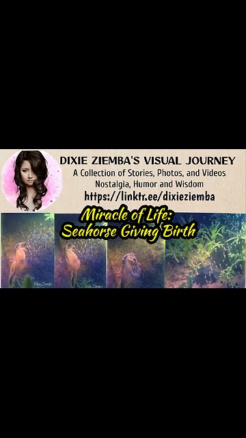 Miracle of Life: Seahorse Giving Birth