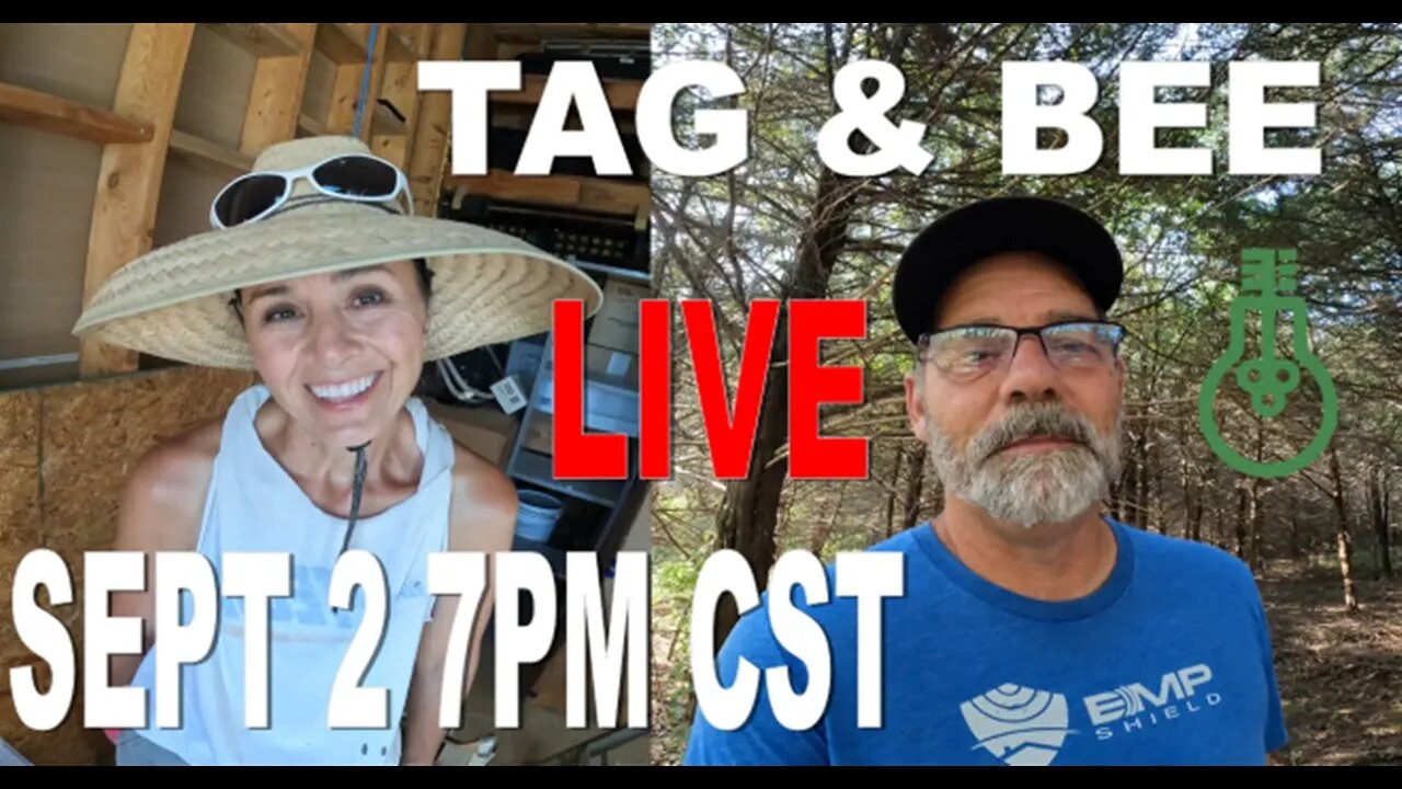 Tag and Bee Live