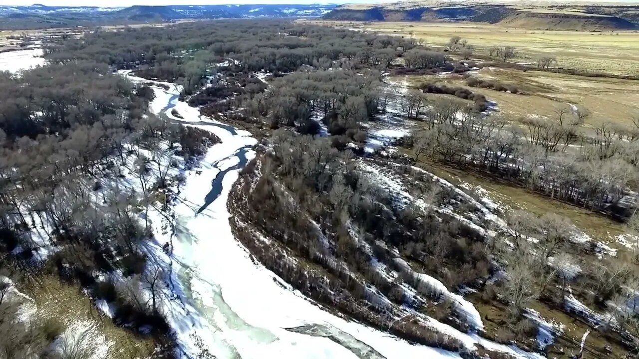 Drone Coyote Patrol