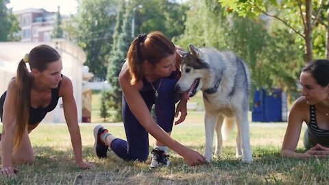 🐕 Basic Dog Training