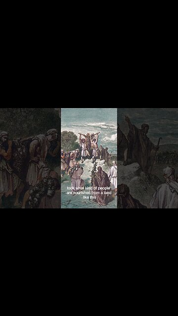 The Mindset of Champions: How to See Opportunities in Every Challenge