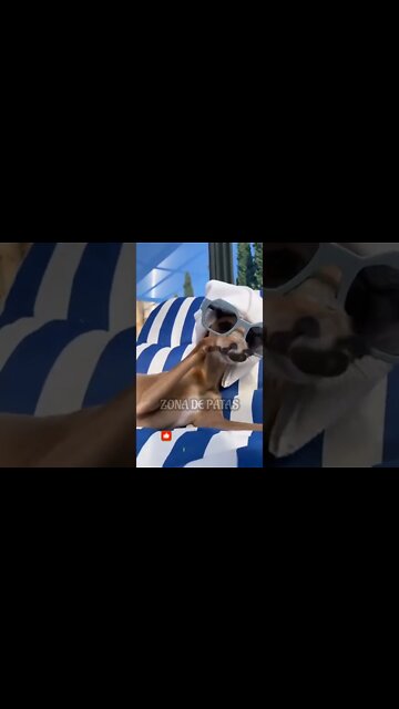 PRIMEIRO EU DEPOIS AS DÍVIDAS 🤣🤣🤣