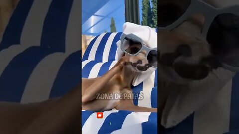 PRIMEIRO EU DEPOIS AS DÍVIDAS 🤣🤣🤣