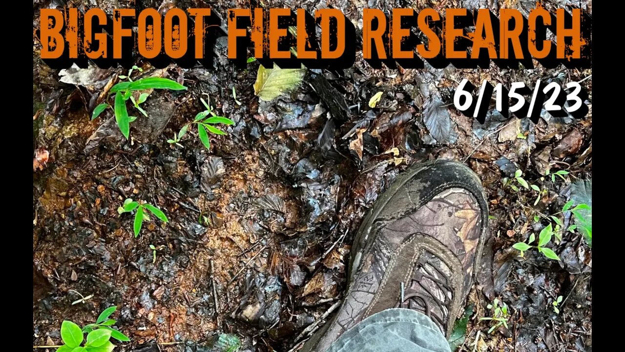 Bigfoot Field Research | 6-15- 23 | 4K Video