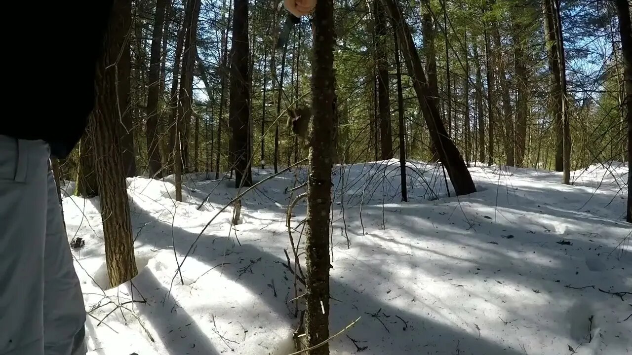 Solo Winter Bushcraft: Overnight in an Elevated Shelter-17