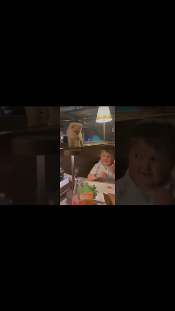 Hasbulla Startled By A Dog Behind Him