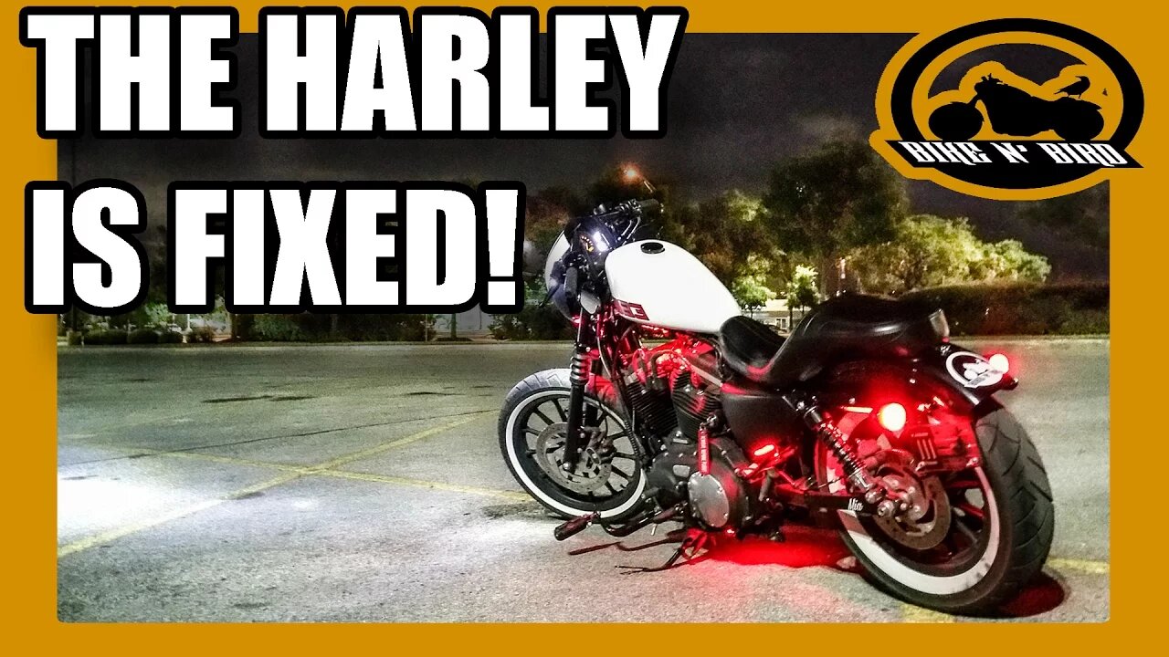 THE MECHANICS WERE WRONG! - Harley Sportster 883 Iron