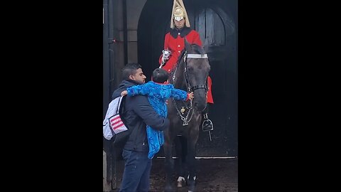 So dumb #horseguardsparade