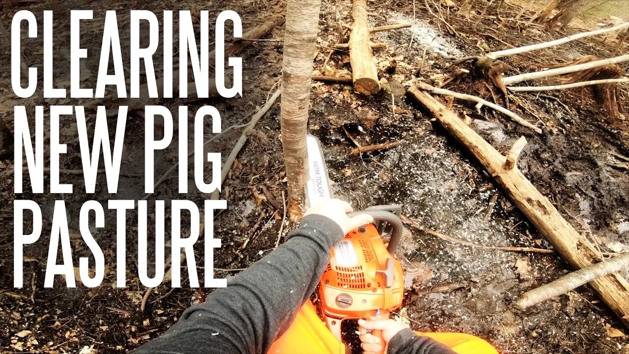 Switching Up The Forest Pastured Pork Paddock - Clearing Woods For A New Pen