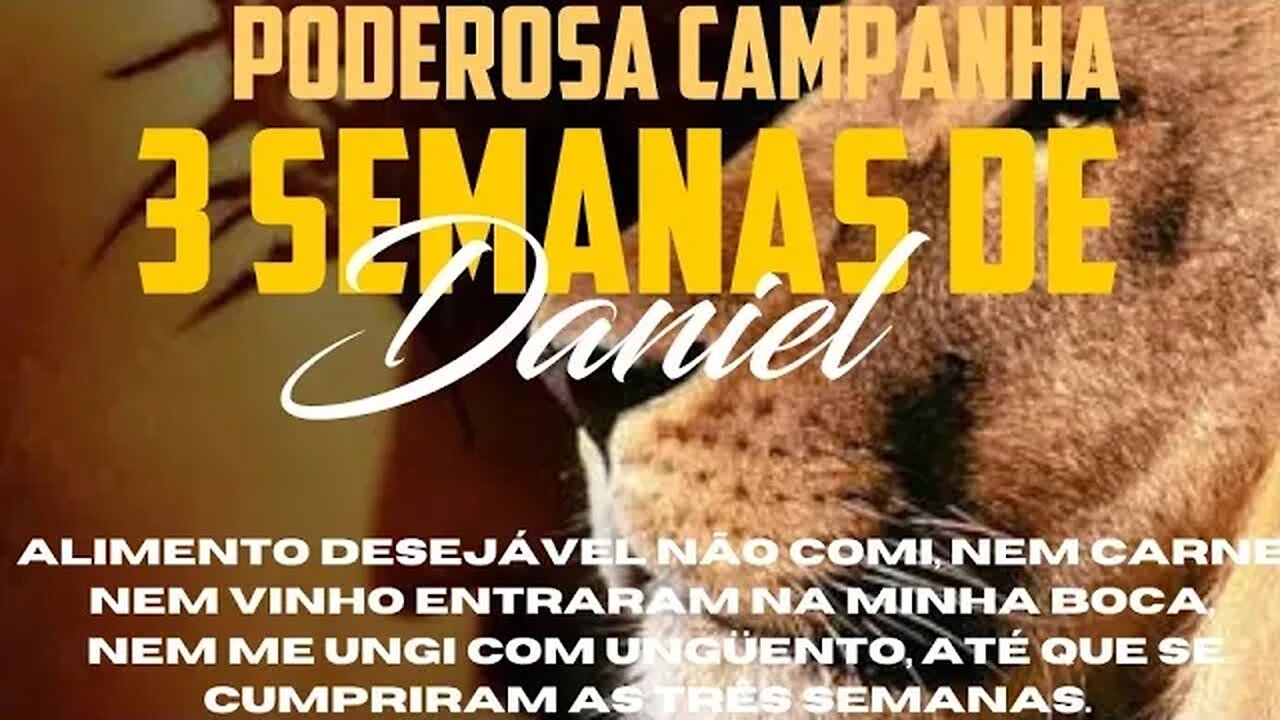 16° dia da campanha dos 21 dias de Daniel