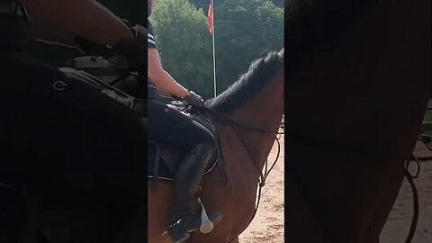 Giddyup