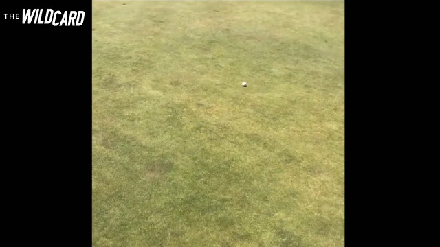 Watch: Instructor Shows Scary Speed Of Us Open Greens By Dropping Ball Straight Down