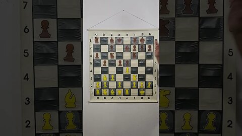 What is the Marshall Gambit in Chess?