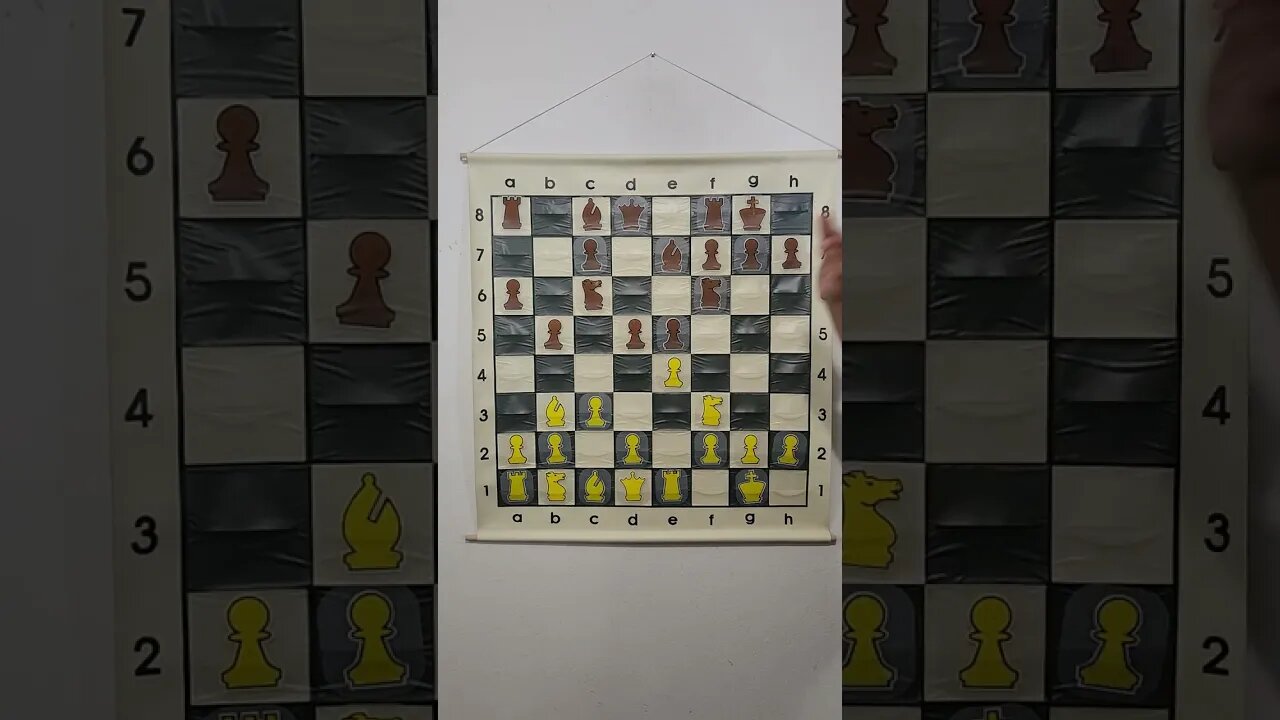 What is the Marshall Gambit in Chess?