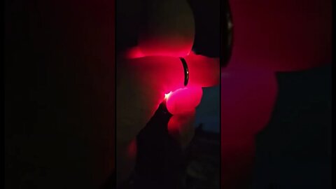 Hatching eggs with Mrs B. Part 5