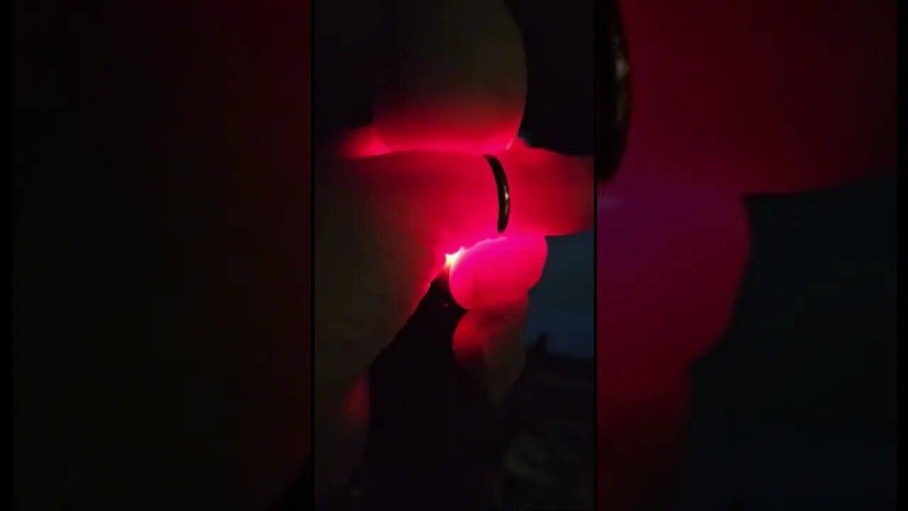 Hatching eggs with Mrs B. Part 5