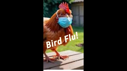 Bird Flu? Right on time!