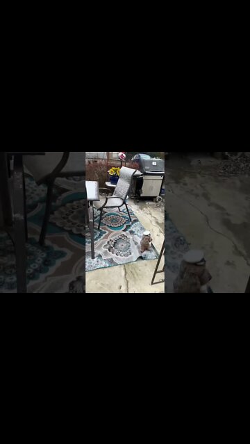 #lol #no #snow #goaway #winter #nothere #please #omg #comedy