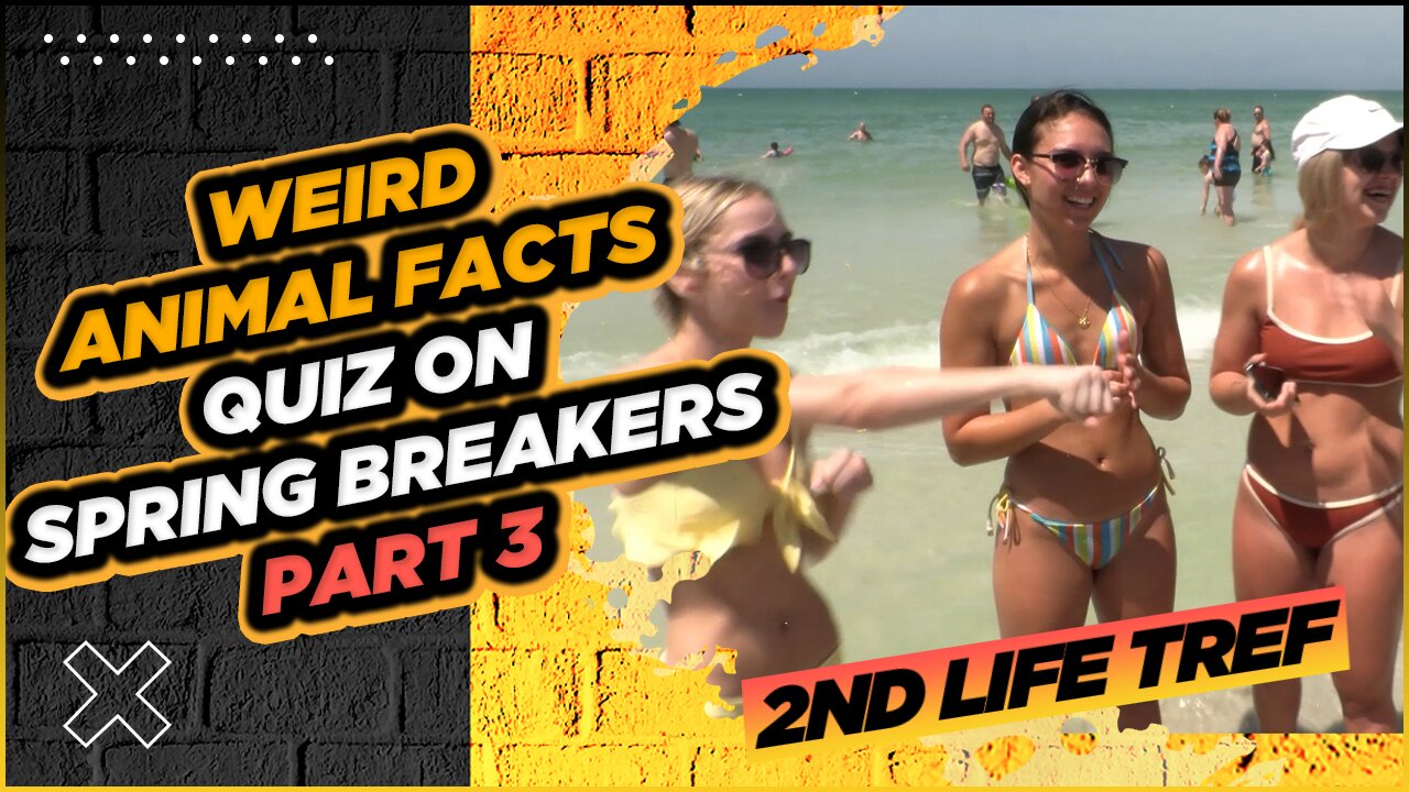 Just Laughs | WEIRD Animal Facts Quiz On Spring Breakers! Part 3 | Clearwater Beach Florida | Spring Break 2021