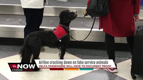 Delta sets new rules for flying with animals