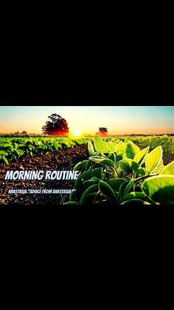 Morning Routine P5 #shorts #quotes #motivationalquotes#spirituality #advicefromanastasia