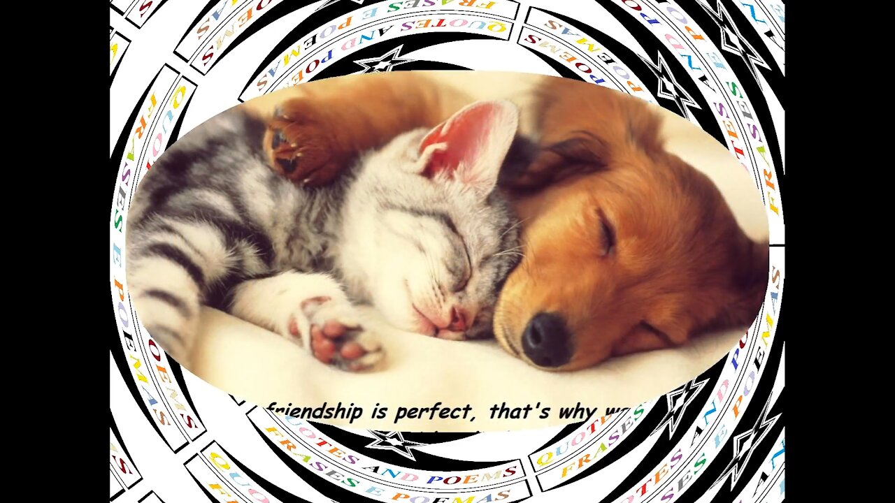 No friendship is perfect, accept the differences! [Quotes and Poems]