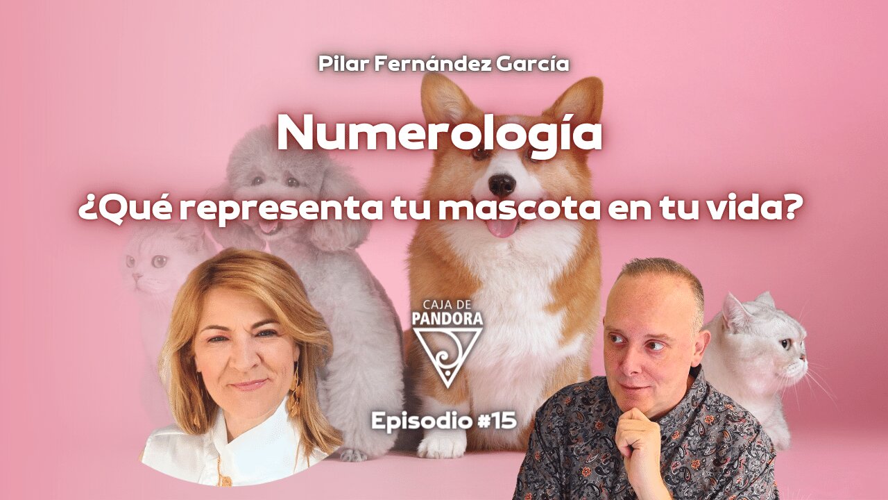 Numerología: ¿Qué representa tu mascota en tu vida? con Pilar Fernández García