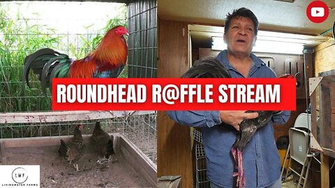 ROUNDHEAD R@FFLE / LWF LIVESTREAM