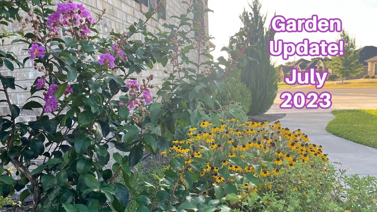 Zone 8B gardening-Native versus Nonnative July 2023 Garden Tour