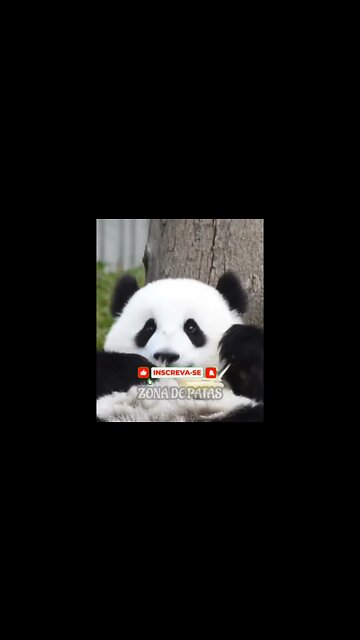 QUANDO FALAM QUE VOCÊ COME DEMAIS