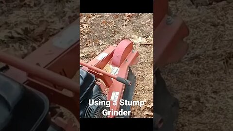Using a Stump Grinder #Shorts