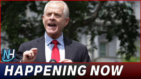Democrats are politically using FBI to thwart Trump from 2024 election, Peter Navarro claims