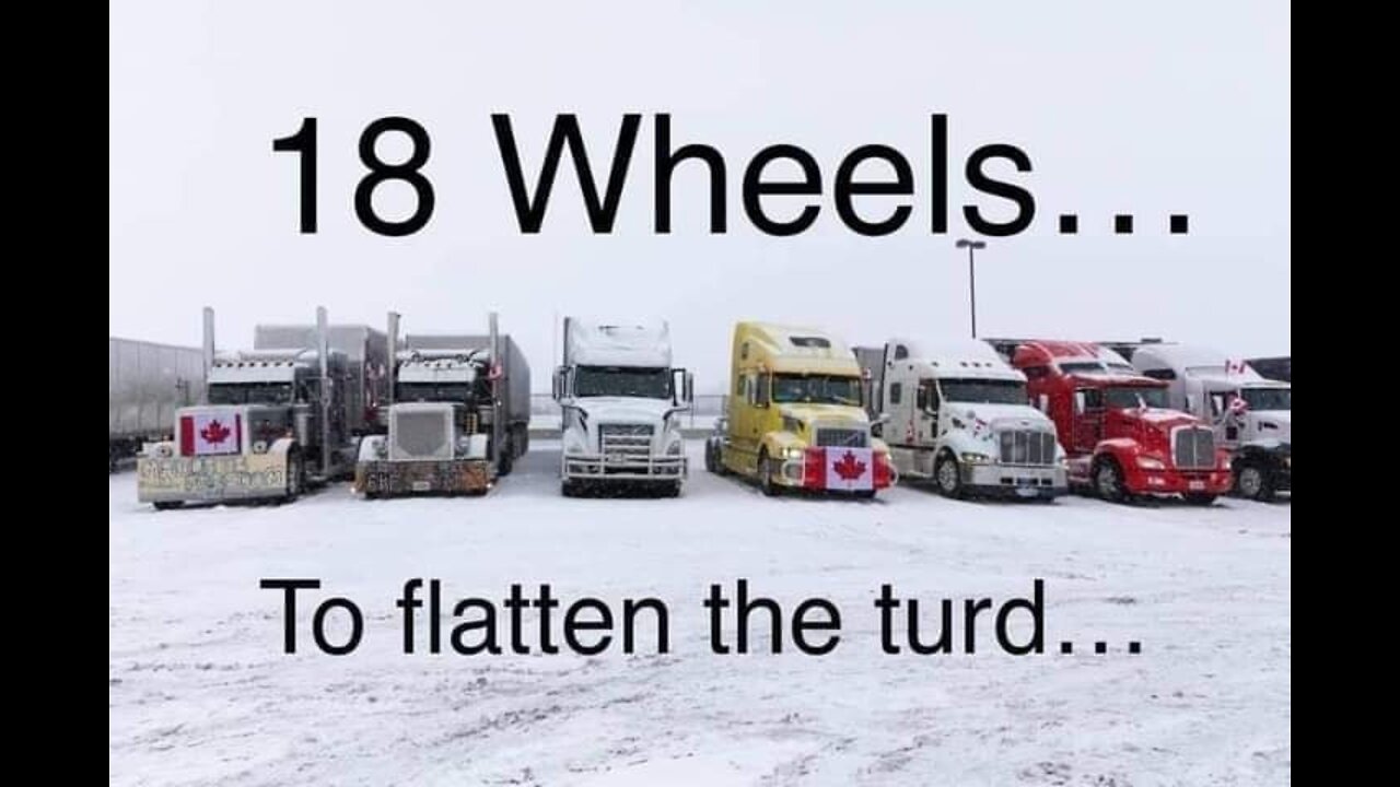 many great clips from the truckers Convoy to Ottawa 2022 stop the jab