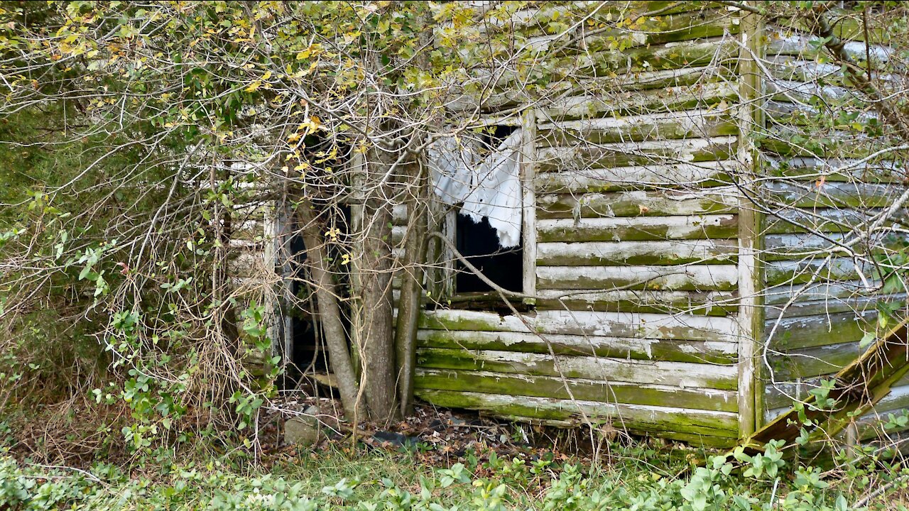 Davis Road House - Abandoned