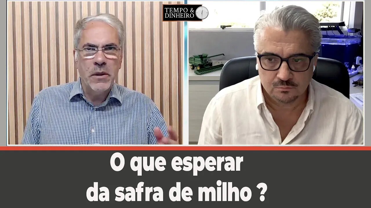 O que esperar da safra de milho? Roberto Carlos Rafael comenta