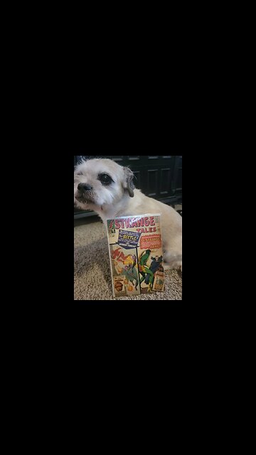 Dogs and comics