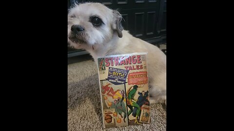 Dogs and comics