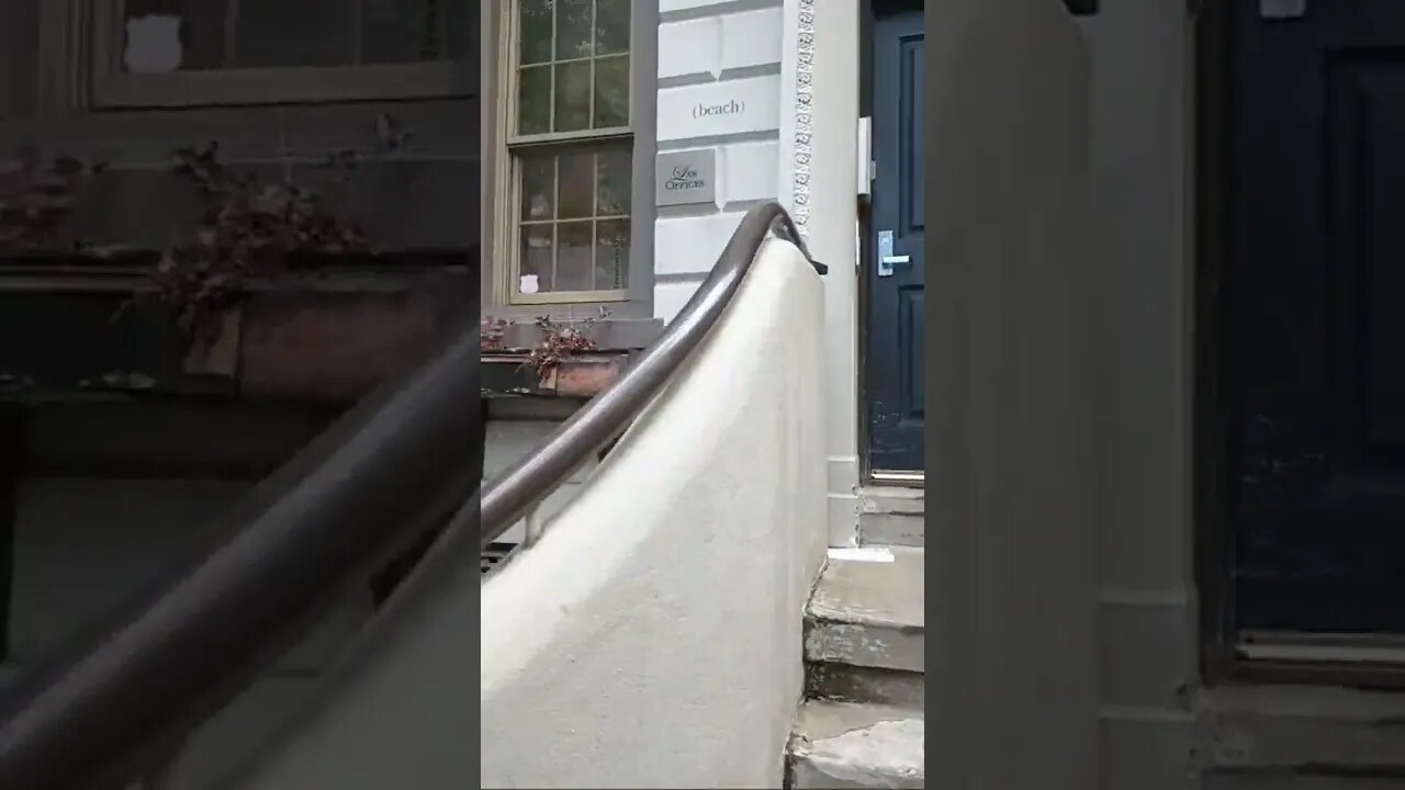 Freed Brown And White Pigeon 🐦 From Hole In Wall 🧱