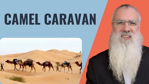 Mishna Shabbat Chapter 5 Mishnah 3 Camel caravan