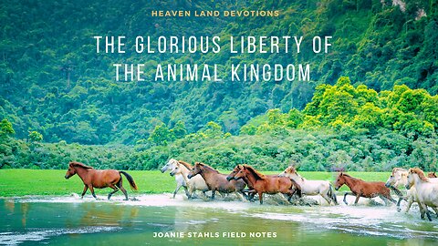 Heaven Land Devotions - The Glorious Liberty of the Animal Kingdom