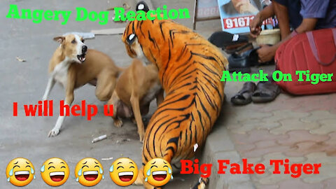 Watch Fake Tiger Prank Dog So Funny Comedy Video | New Trending Viral Video