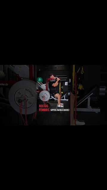 Quads or Glutes? 🧐 Know the difference ! #shorts #squats #legday #kneesovertoes