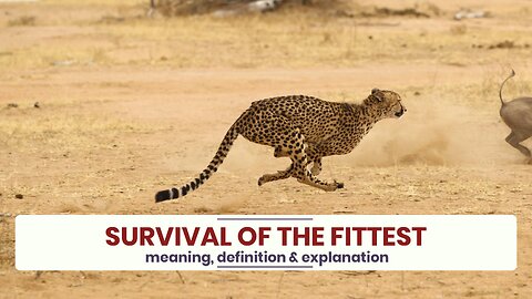 What is SURVIVAL OF THE FITTEST?