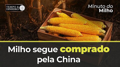 Milho segue comprado pela China.