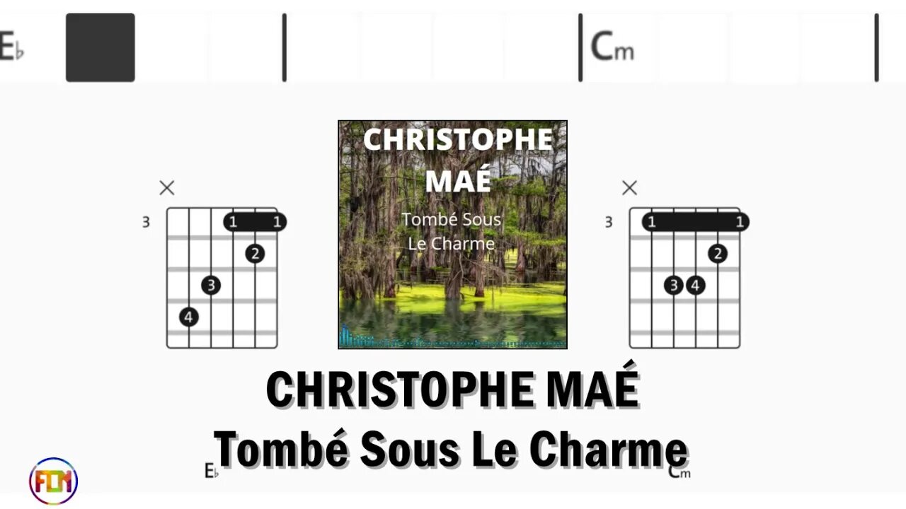 CHRISTOPHE MAÉ Tombé Sous Le Charme - FCN Guitar Chords & Lyrics HD